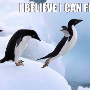 Meet your Posher, Fernando